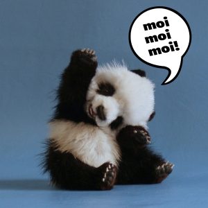panda collabo